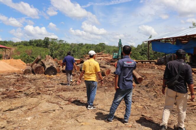 
					di Subulussalam, Produksi Kayu Gelondongan Diduga Masih Jalan