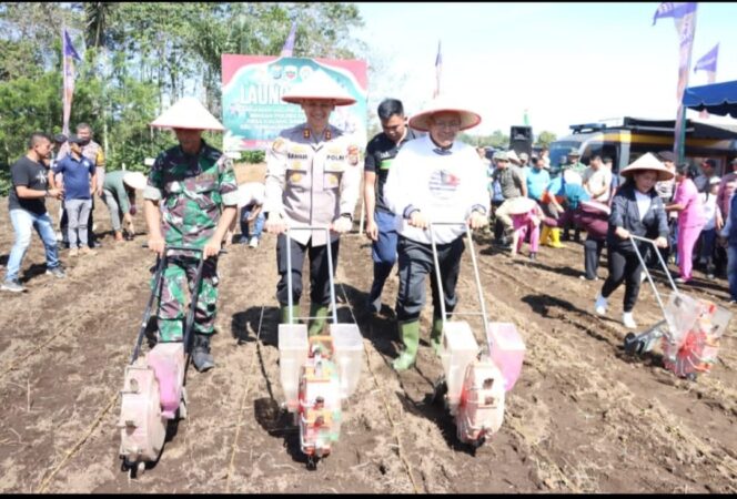 
					Polres Dairi Launching Penanaman Jagung di Desa Kalang Simbara