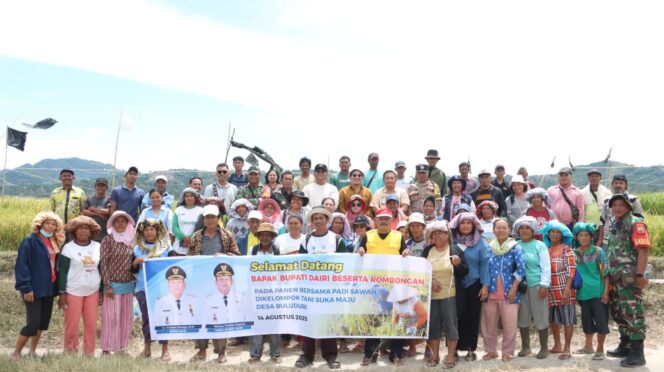 
					Wakil bupati Dairi ajak petani perkuat ketahanan pangan. 