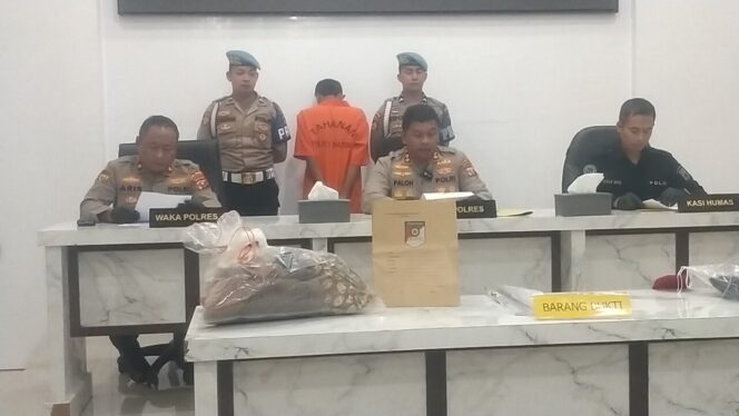 
					Kapolres Madina Paparkan Motif-Ancaman Hukuman Terhadap 2 Pelaku Pembunuhan