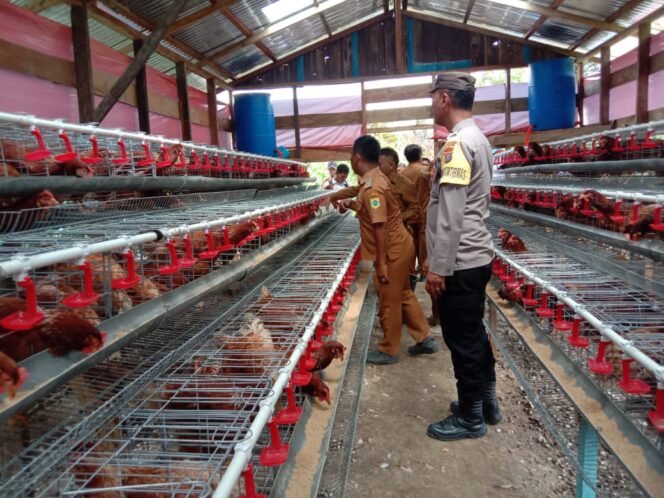 
					Bhabinkamtibmas Polsek Salak Hadiri Launching BUMDES Arih Mersada Dukung Ketahanan Pangan Melalui Ternak Ayam Petelur