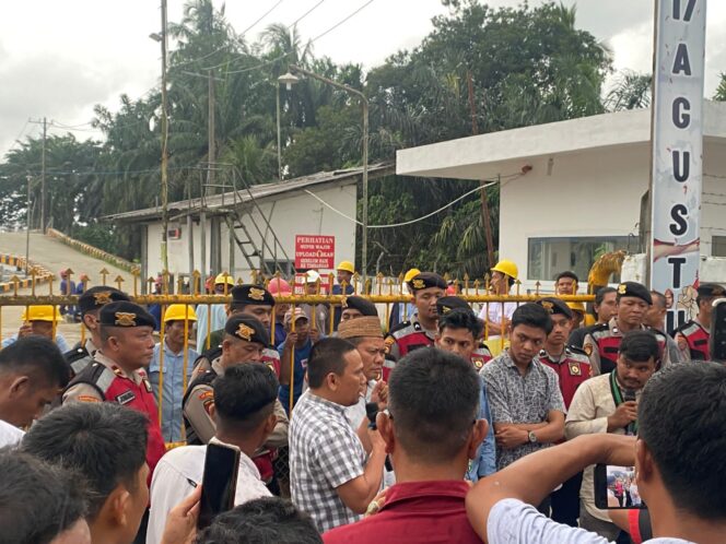 
					Demo Di Depan Gerbang Pabrik PT Socfindo Kebun Lae Butar Di Nilai Mengganggu Karyawan Yang melakukan Pekerjaan Sebagai Karyawan