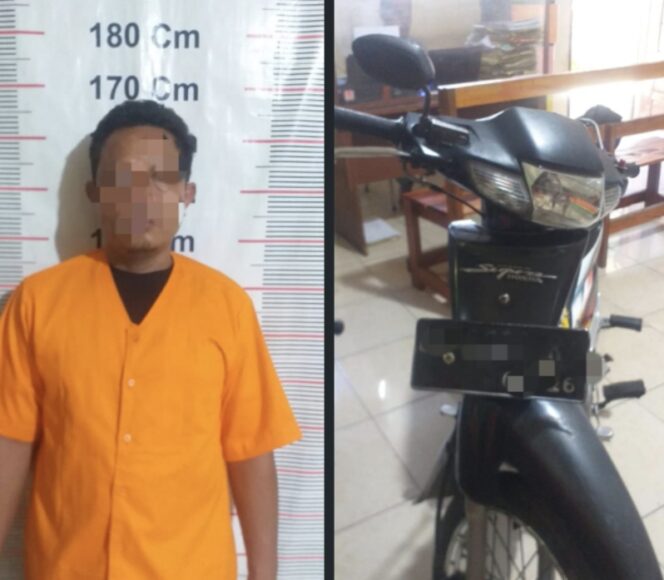 
					Polsek Bahorok Ungkap Kasus Pencurian Sepeda Motor, Pelaku Berhasil Diciduk
