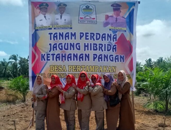 
					Bupati Dan Wakil Bupati Dampingi Desa Pertampakan Tanam Perdana Jagung Hibrida di Desa Sebatang