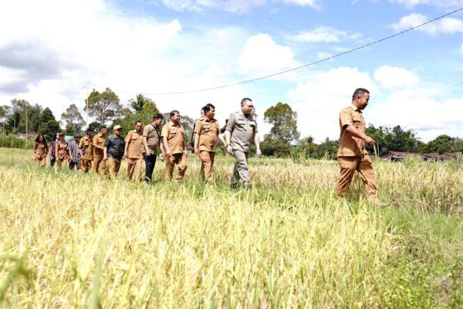 
					Bupati Pakpakbharat : BUMDes Harus Bisa Menjadi Tumpuan Ekonomi Desa
