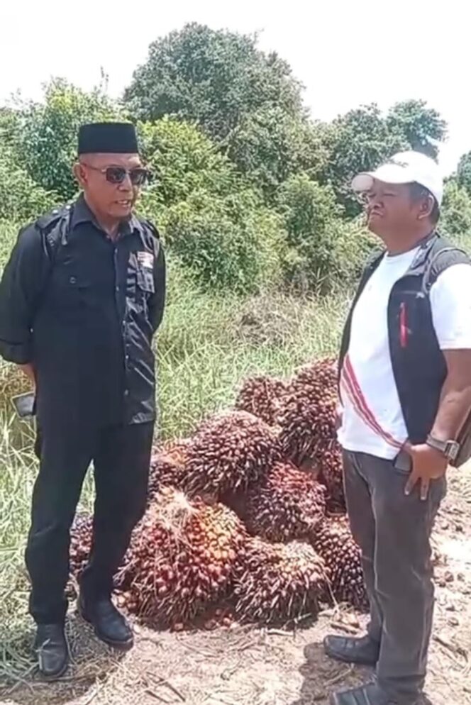 
					Kepala Mukim Binanga Tegakkan Qanun Adat: Damai dengan Musyawarah, Adil dengan Kearifan