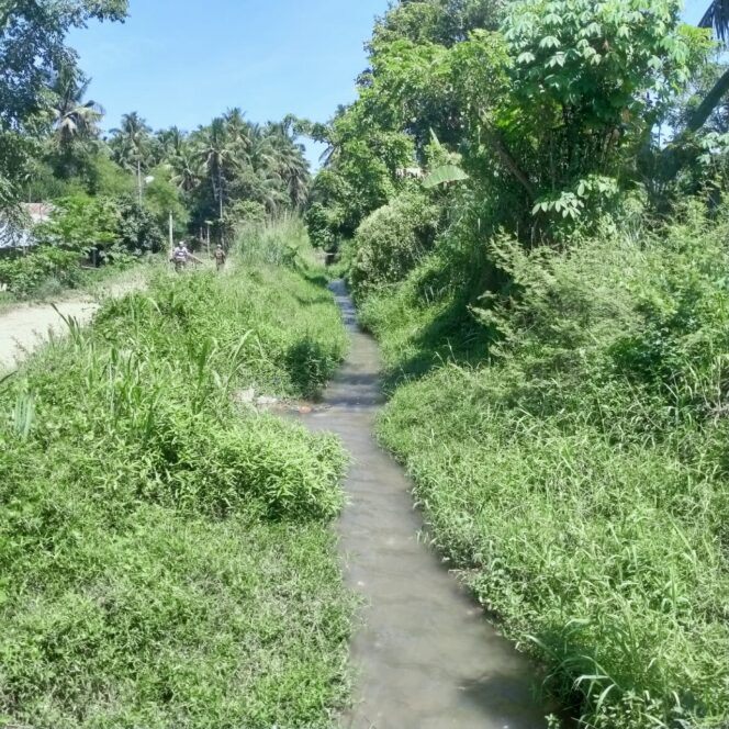 
					Irigasi Primer Batang Gadis Tertutup Semak Puluhan Warga Mengeluh