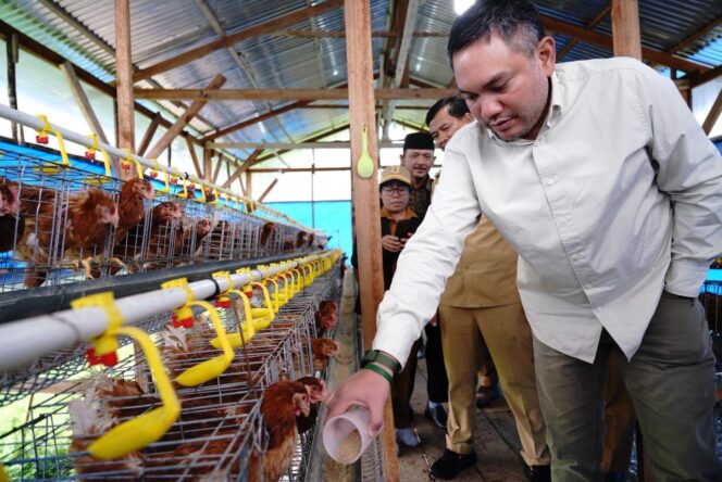 
					Bupati Tumanggor Pantau Peternakan Milik BUMDes Desa Sukaramai