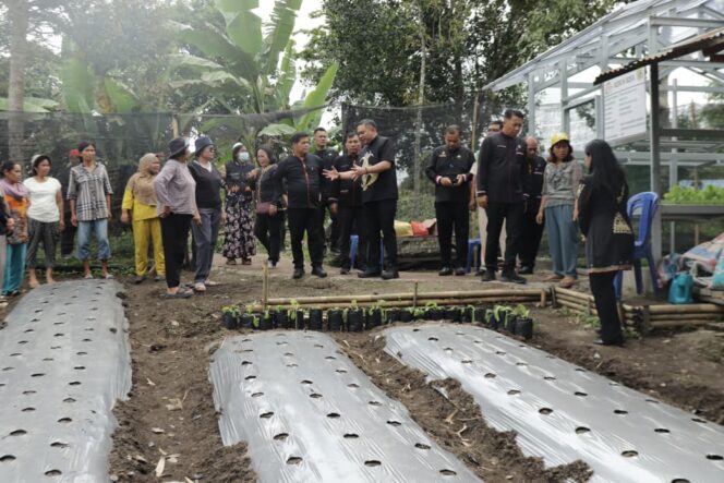 
					Bupati Tumanggor Tinjau Areal Kebun B2SA