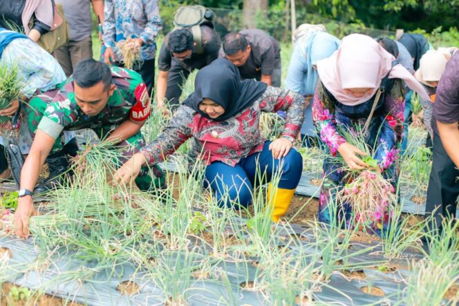 
					Wabup Madina Ajak Masyarakat Manfaatkan Pekarangan untuk Tanam Sayur