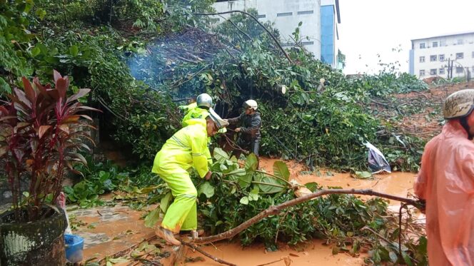 
					Cuaca Ekstrem Picu Serangkaian Longsor di Kota Sibolga, Korban Jiwa dan Kerusakan Meluas