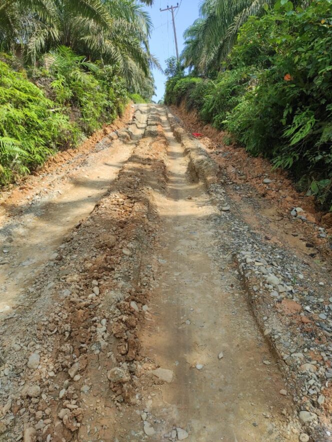 
					Jalan di Desa Pangkalan Siata Rusak parah, warga Minta Pengerjaan Ulang