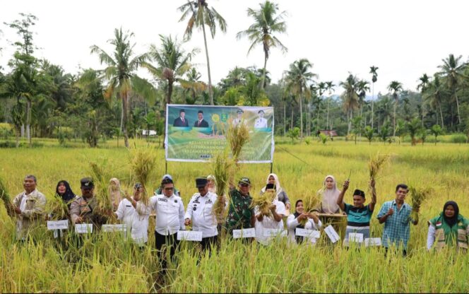 
					Bupati Madina Makan Bersama Warga Gunung Baringin Marpinggan Bulung Panyabungan Timur